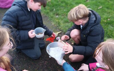 The Science of Survival