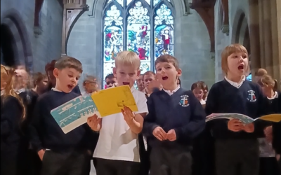 Primary Robins 07.11.24