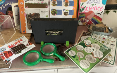 Wormery!