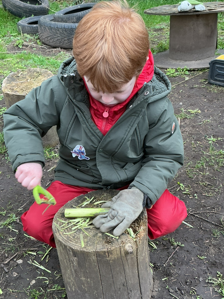 Forest School Fun 